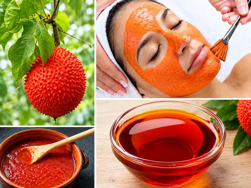Dầu gấc dưỡng da chứa các sắc tố carotenoid từ màng đỏ quả gấc.