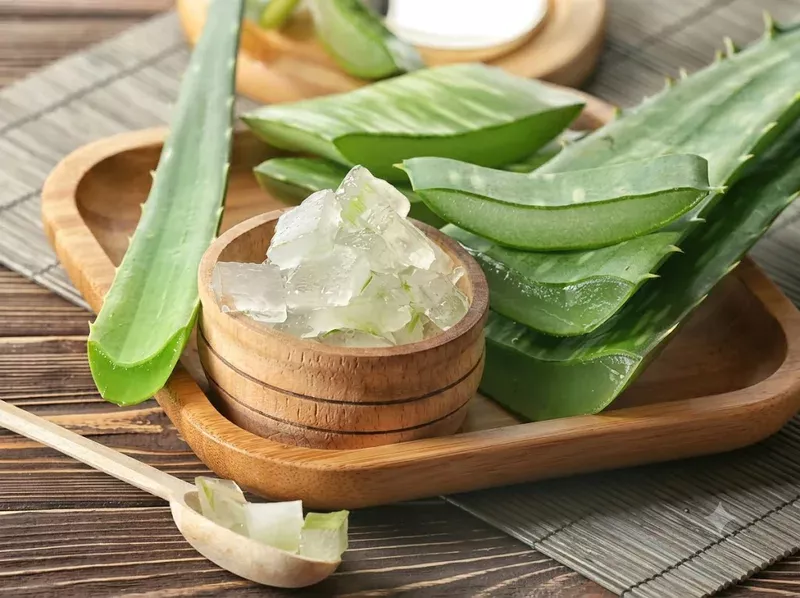 Cách làm nha đam tươi đắp mặt bắt đầu từ bước sơ chế gel sạch
